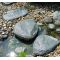 Japanese grey/green SANBA ISHI stepping stones