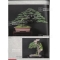 BONSAI FOCUS N° 104