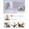 BONSAI FOCUS N° 119