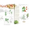 Bonsai focus magazine 95