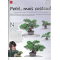 BONSAI FOCUS N° 125