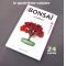 Mini bonsai Japanese zelkova handbook N°4