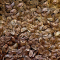 60 seeds stewartia monadelpha