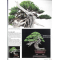 BONSAI FOCUS N° 120