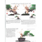 BONSAI FOCUS N° 125