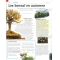 Bonsai focus magazine 89