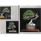 Bonsai focus magazine 107