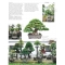 BONSAI FOCUS N° 93