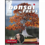 BONSAI FOCUS N° 108