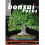 BONSAI FOCUS N° 122