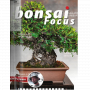 bonsai-focus-n-124