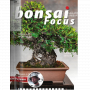 BONSAI FOCUS N° 124