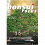 bonsai-focus-n-132