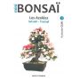 mini-bonsai-n-3-azalee-satsuki-kyosuke-gun