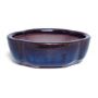 g2-quince-flower-oval-mini-pot-blue