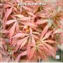 jerry-schwartz