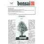 n° 15 - Ginkgo biloba, arbre aux 40 écus