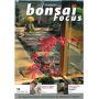 BONSAI FOCUS N° 59