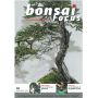 bonsai focus N 62