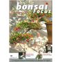 BONSAI FOCUS N° 66