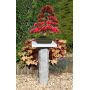 bonsai-granite-stand-100-cm