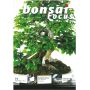 bonsai-focus-n-71