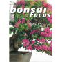 BONSAI FOCUS N° 76