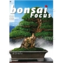 BONSAI FOCUS N° 82