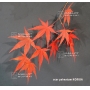 graines-d-acer-amoenum-koriba