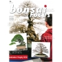 BONSAI FOCUS N° 86