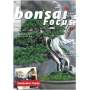 BONSAI FOCUS N° 92