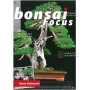 BONSAI FOCUS N° 93