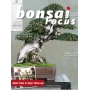 BONSAI FOCUS N° 95