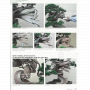 Bonsai focus magazine 109