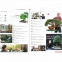 BONSAI FOCUS N° 101