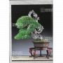 Bonsai focus magazine 105