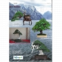 BONSAI FOCUS N° 106