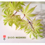 graines d'acer amoenum oiso nishiki