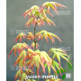 YUZEN MOMIJI