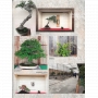 BONSAI FOCUS N° 131