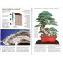 EPUISE France bonsai le bois mort N° 105