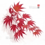 Graines d'Acer palmatum variété 9001