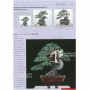 Bonsai focus magazine 103