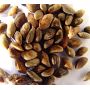 20 SEEDS PINUS THUNBERGII