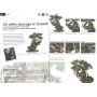 BONSAI FOCUS N° 72