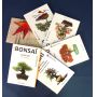 Mini bonsai lot de 6 livres.