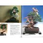 EPUISE France bonsai le bois mort N° 105