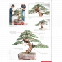 Bonsai focus magazine 103