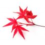 Acer palmatum DESHOJO de bouture 3l