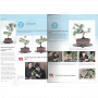 BONSAI FOCUS N° 109